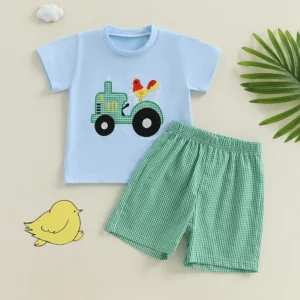 Boys T-Shirt and Plaid Shorts - 2 Piece